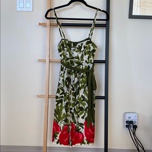 Women’s Strawberry Fields Dress